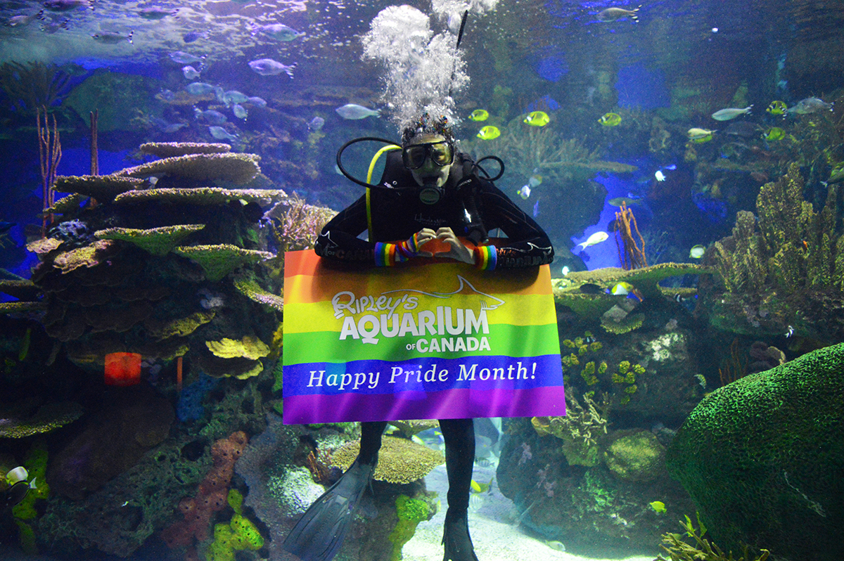 ????????????????????????????????????????????????(Night at the aquarium) LifeToronto ????????????????????????????????????