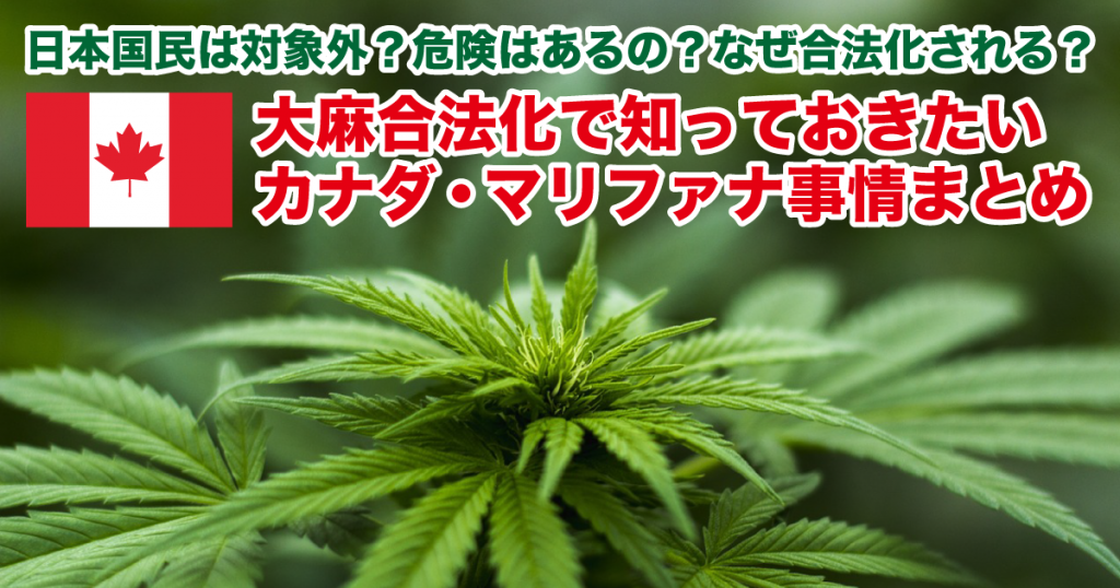 日本国民は対象外 大麻合法化 で知っておきたいカナダのマリファナ事情 Lifetoronto カナダ トロント現地情報