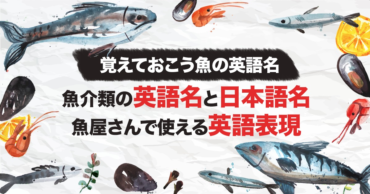 【覚えておこう魚の英語名】カナダで買える魚介類の英語名と日本語名・魚屋さんで使える英語表現