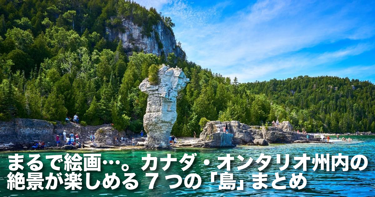 カナダ オンタリオ州アルモンテ地方の 粘土陶芸葉っぱのお皿