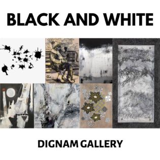 Dignam Gallery: BLACK and WHITE @ Dignam Gallery | Toronto | Ontario | カナダ