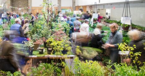 Toronto Botanical Garden Spring Plant Sale 2025