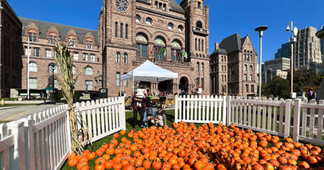 クイーンズパーク秋祭り(Fall Festival at Queen’s Park) 2026