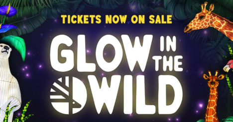 グロウ・イン・ザ・ワイルド(Glow in the Wild at Toronto Zoo) 2026